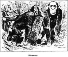 Мореплаватели XVIII века - pic_104.jpg