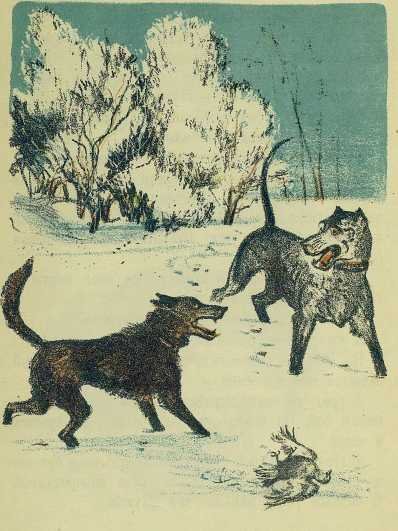 Секрет и Служба - image6.jpg