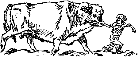 Боцман знает всё - i_061.png