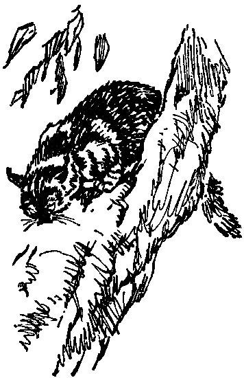 Боцман знает всё - i_068.png