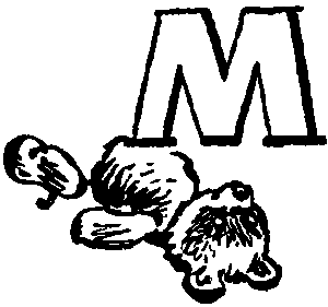 Боцман знает всё - i_081.png