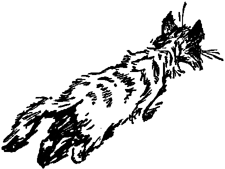 Боцман знает всё - i_146.png