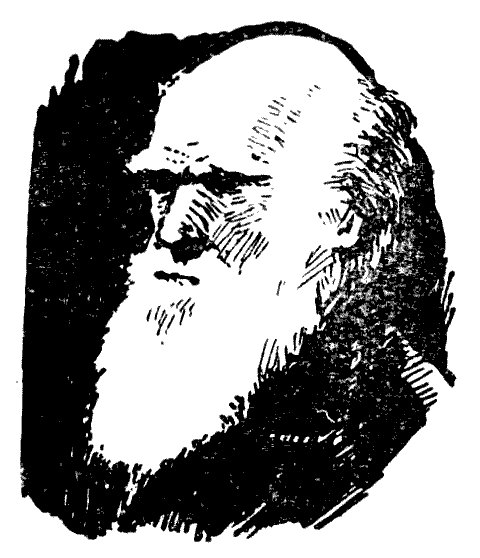 Мы и её величество ДНК - img_53.png