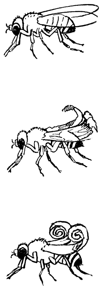 Мы и её величество ДНК - img_55.png