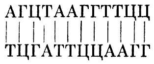 Мы и её величество ДНК - img_67.png