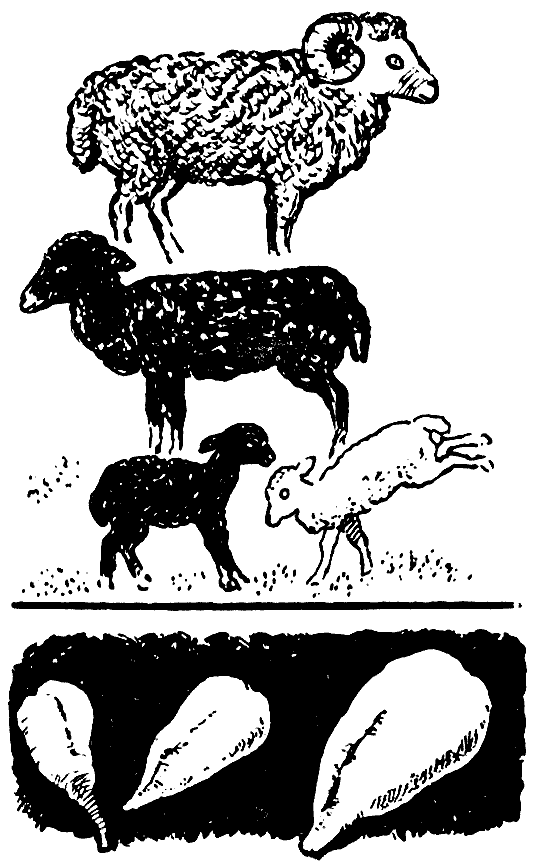 Мы и её величество ДНК - img_69.png