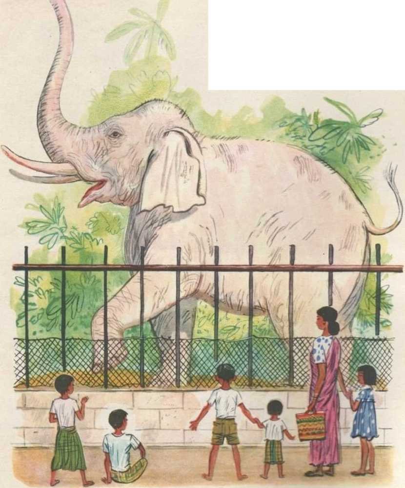 Тун и Ньюн - мальчишки из Бирмы - _15.jpg