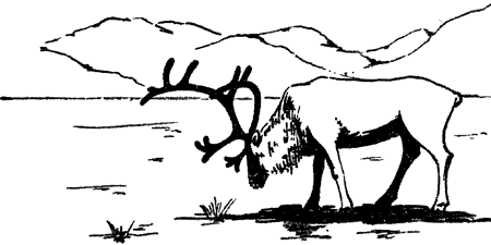 В Стране странностей - i_126.png