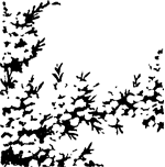 В Стране странностей - i_179.png