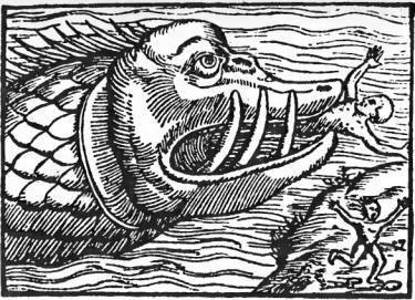 На крыльях муссонов - i_046.jpg