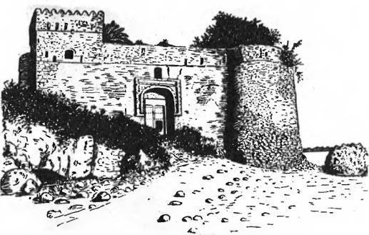 На крыльях муссонов - i_056.jpg