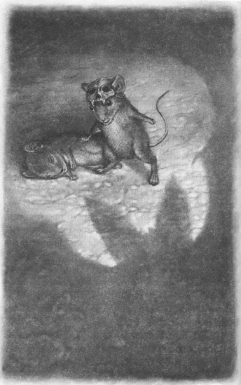 Мыши и магия - _12.jpg