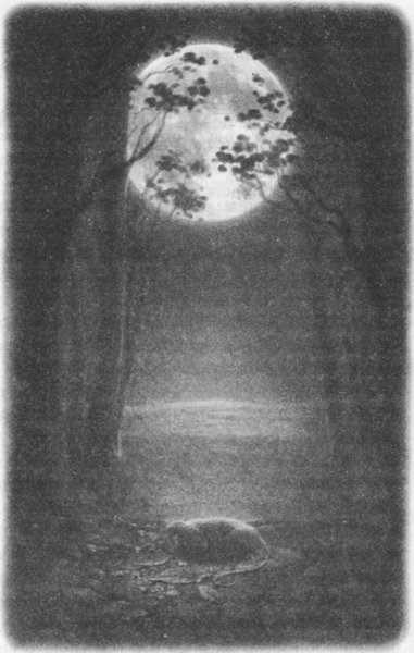 Волшебник Подземного города - pic12.jpg