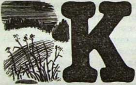 Хроникёр - img_11.jpg