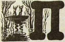 Хроникёр - img_4.jpg