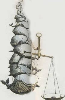 Дорога на космодром - i_078.jpg