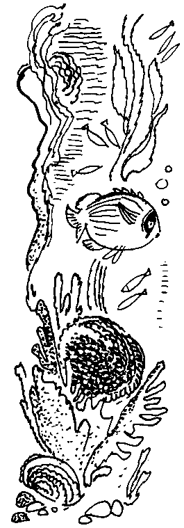 Сокровища капитана Ермакова. Тетрадь вторая - pic_20.png