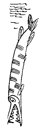 Сокровища капитана Ермакова. Тетрадь вторая - pic_23.png