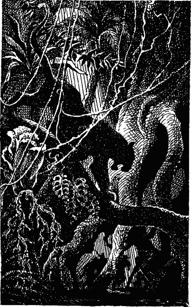 Черный Корсар - i_013.png