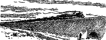 Разведчики (илл. В. Арцеулов) - pic_4.png