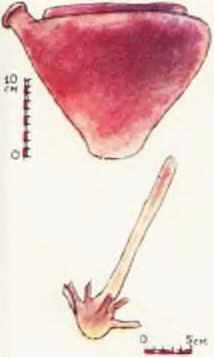 Мир истории: Россия в XVII столетии - i_072.jpg