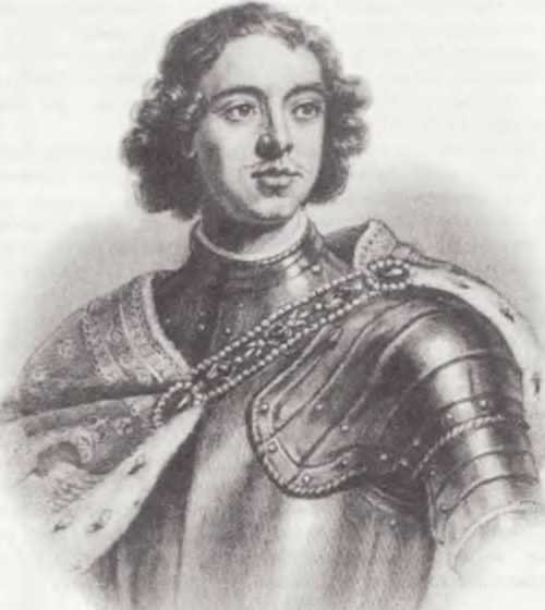 Мир истории: Россия в XVII столетии - i_183.jpg