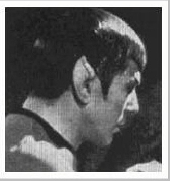 Я — Спок (СИ) - i30-leonard_nimoy_i_am_spock-32.jpg