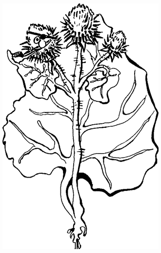 Целебные сорняки. Дача — вылечит, дача — исцелит - i_005.png