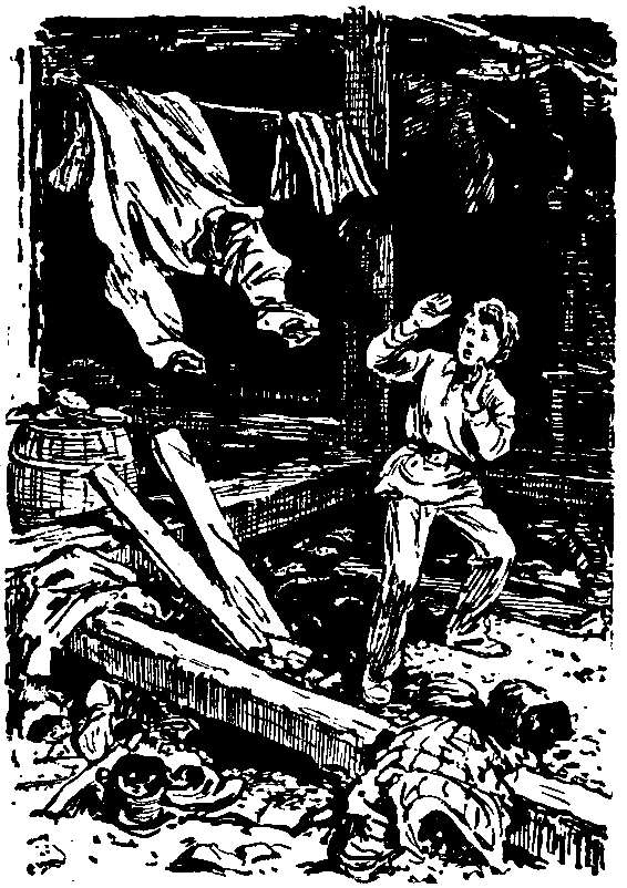 Необычайные похождения Севы Котлова. Повести - pic_15.png