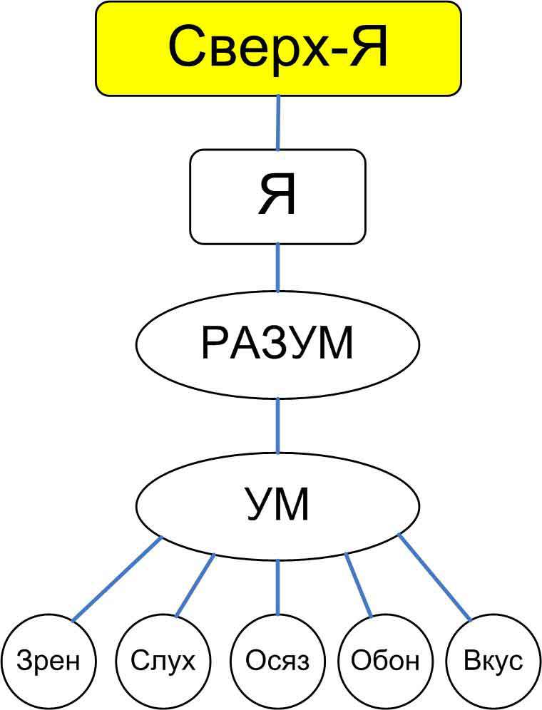 Анатомия ложного эго  - _7.jpg