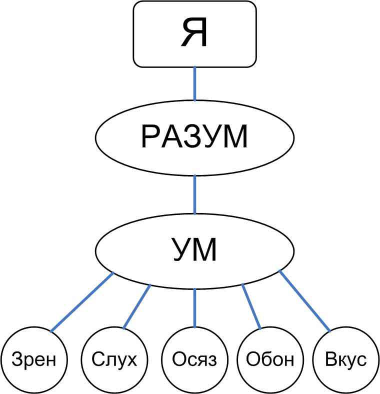 Анатомия ложного эго - _8.jpg