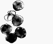 Помощница ангела - img67.png