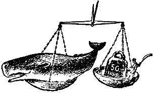 Вокруг света за китами - _30.jpg