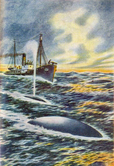 Вокруг света за китами - _34.jpg