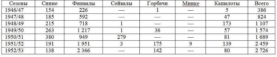 Вокруг света за китами - _95.jpg