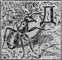 Зеленая книга леса - i_004.png