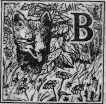 Зеленая книга леса - i_010.png