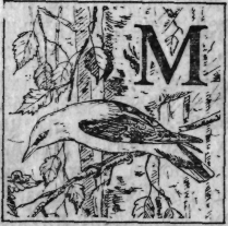 Зеленая книга леса - i_014.png