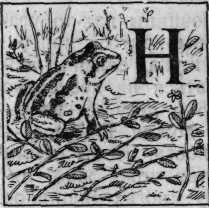 Зеленая книга леса - i_015.png