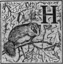 Зеленая книга леса - i_024.png