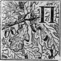 Зеленая книга леса - i_028.png