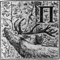 Зеленая книга леса - i_030.png