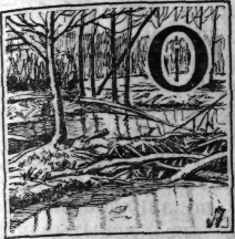 Зеленая книга леса - i_031.png