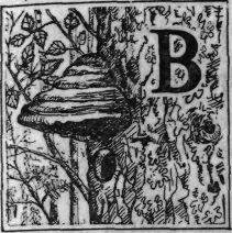 Зеленая книга леса - i_032.png