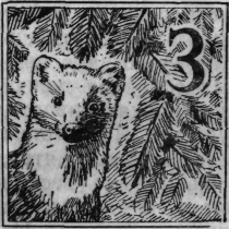 Зеленая книга леса - i_033.png