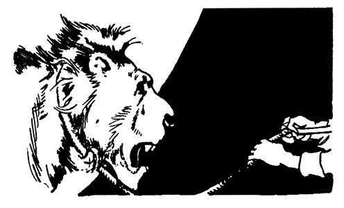 Трусливый Лев из Страны Оз - i_011.jpg