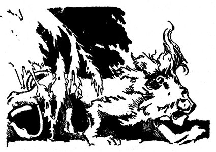 Трусливый Лев из Страны Оз - i_031.jpg