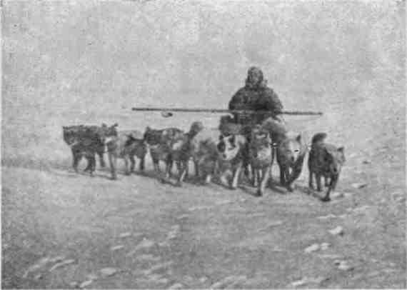Зимовка на «Торосе» - img_21.jpeg