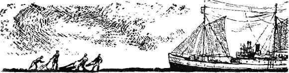 Зимовка на «Торосе» - img_36.jpeg