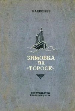 Книга Зимовка на «Торосе»